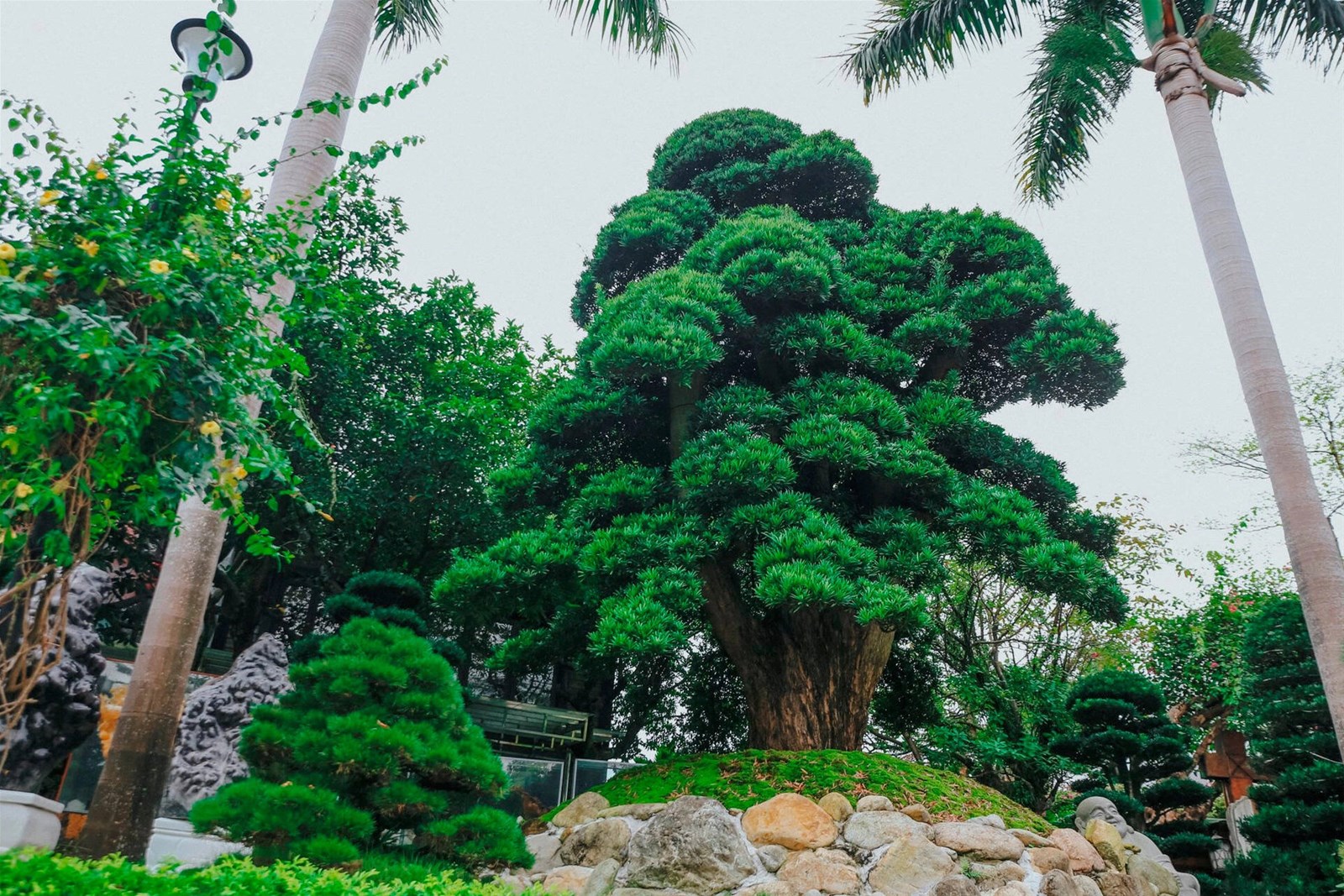 Biệt thự Vườn Đào